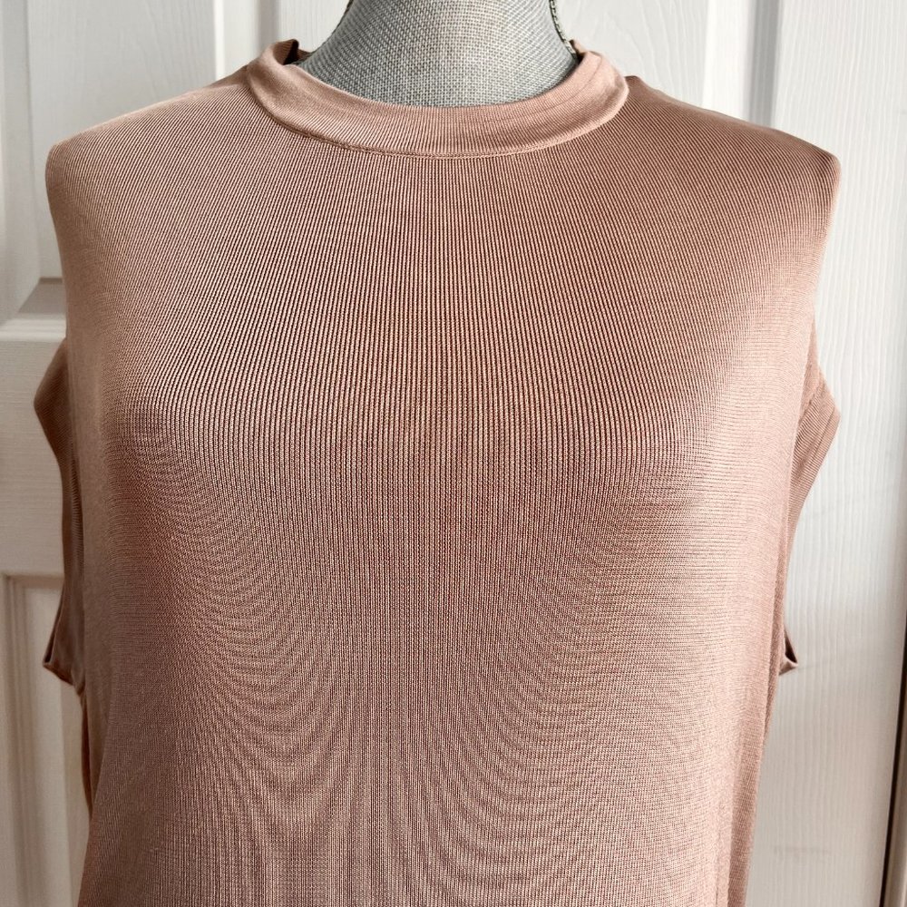 Cos Minimalist Nude Top